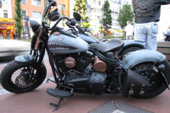 Bild 095