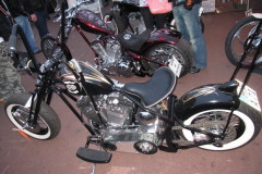 Bild 096
