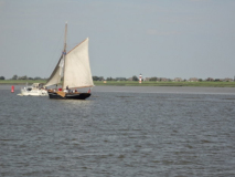 DSC00294