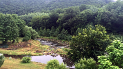 img-20150719-wa0006_19473005984_o
