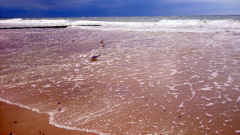 dsc_0049_19087902465_o