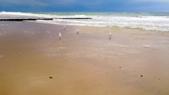 dsc_0051_18900156640_o