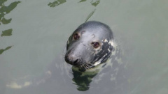 p1060522_19086243915_o