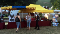 img-20150822-wa0007_21262326031_o