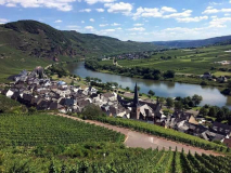 img-20170813-wa0014_36581622111_o