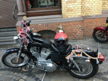 4da3a884-8a98-4797-8afe-e290c5776e8a_46458262561_o