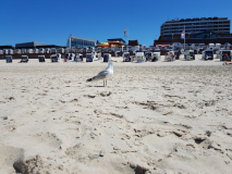 20180607_131538