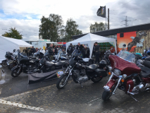 bild10_48931143667_o