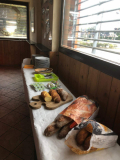 IMG-20190726-WA0016