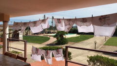 cad47c03-75e6-418f-8f5d-36b8edd68ddd_48930837951_o