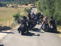 bild20_48929167332_o