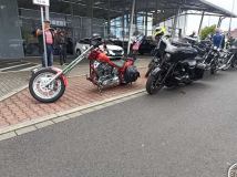 Bild15